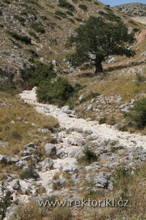 Cestou k Agios Paraskevi