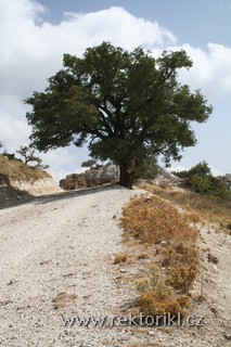Agios Paraskevi